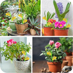 Fruit Fly Traps, 60 Pack Yellow Stick Traps, Fungus Gnat Traps, Plant Fly Stickers for Indoor and Outdoor Use Protect The Plant