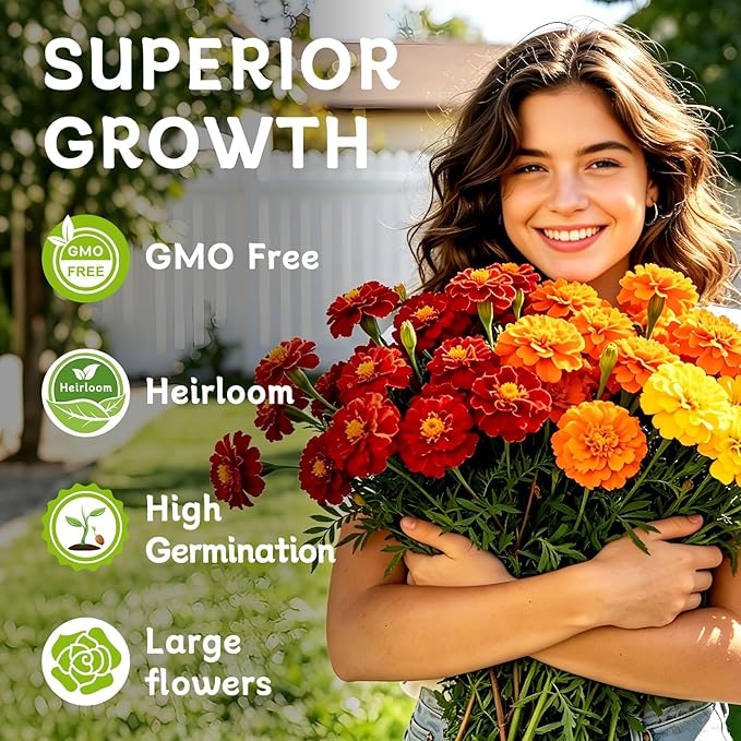 LUOJIBIE Marigold Seeds, 6,000+ Marigold Seeds for Planting Outdoor & Indoor, Flower Seeds Bulk for Gardening and Home, Non-GMO Heirloom, Easy to Grow
