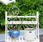 1PCS Hoya Trellis Plant Support Indoor Metal Frame Unique Trellis for Climbing Plants Potted Hoya Pots Small Houseplant Vine Support for Plant Lovers Home Decor