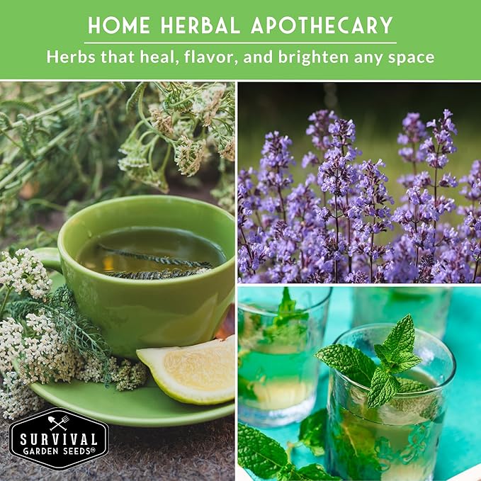 Medicinal Tea Herb Seeds for Planting | 9 Variety Pack of Heirloom, Non-GMO Herbs – Grow Herbal Teas, Natural Remedies – Home Apothecary Garden Kit – Survival Garden Seeds