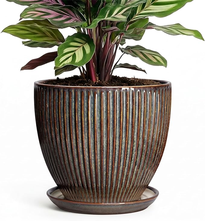 6 Inch Plant Pot, Ceramic Pots for Plants with Drainage Hole and Saucer, Decorative Planters for Indoor Plants, Small Flower Pots, Home Office Room Decor, Gifts for Plant Lovers, Retro Brown