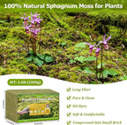 Legigo 4.4LBS Sphagnum Moss for Plants, 80QT Natural Orchid Moss Potting Mix Dired, Green Forest Plant Moss for Orchid Repotting Carnivorous Succulents Indoor Potted Plants Gardening and Reptiles