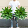 Artificial Agave Plants,Large UV Resistant Fake Agave Planters for Indoor and Outdoor Decorating Plantas Artificiales Decorativas Grandes(2Pack, 28")