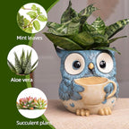 Saysmile Unique Owl Plant Pots Indoor, Cute Small Succulent Pots with Drainage Hole, Watering Owl Planters for Indoor Outdoor Plants, Resin Flower Pot for String of Pearls, Gift Ideas for Mother