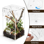Jumping Spider Enclosure Set, Terrestrial Arboreal Combo, Acrylic Tarantula Terrarium, Praying Mantis Habitat, No Assembly, 2-Size Kit, Medium