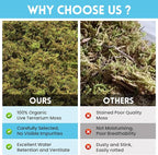 Riare 7 OZ Premium Sphagnum Moss for Reptiles- 10QT Natural Live Moss Reptile Moss Bedding for Terrarium, Hatching, Forest Sphagnum Moss Reptile Substrate for Snakes, Gecko, Turtles, Frogs, Leopard