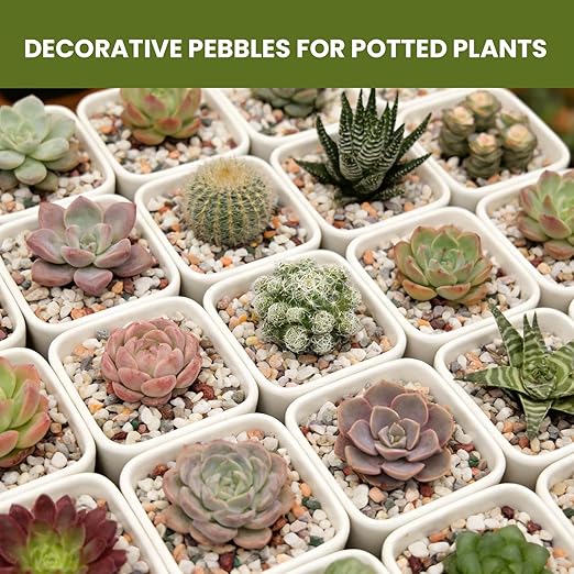 1/8 Inch Natural Aquarium Gravel, Small Pebbles for Fish Tank, Indoor Plants & Succulents, Mixed Color Mini River Rocks for Drainage, Terrarium, Top Dressing & Vase Filler, 12 lb