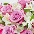 Benchmark Bouquets - Delightful Roses & Alstroemeria (Glass Vase Included) - Fresh Flowers for Delivery - Gift for Graduation, Birthday, Anniversary, Sympathy, Get Well, Congratulations