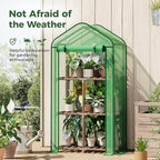 Bamworld 22" Lx16 Wx66 H Mini Greenhouse for Indoor Outdoor Small Green Houses with 3-Tier Plant Shelves Portable with Green PE Cover for Garden and Backyards Ideal Gardening Gifts for Lovers