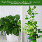 Geiserailie 60 Pieces Plant Climbing Wall Fixture Clips with 72 Pieces Acrylic Adhesive Sticker Leaf Fixer Invisible Wall Vines Fixing Clips Hook Plant Vine Traction for Indoor Outdoor Decoration