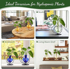 Plant Terrarium Plants Propagation Station Cat Lover Gifts for Women Home Office Decor Cat Desk Accessories