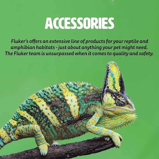 Fluker's Bearded Dragon Deluxe Starter Kit - Includes The Essentials Needed for a Bearded Dragon Habitat.