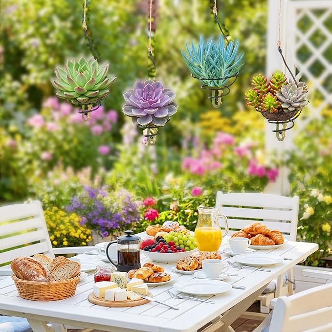 12 Set Hanging Air Plant Holder, Adjustable Air Plant Hanger with Jute Ropes Soilless Succulent Display Container Airplant Stand for Home Office Decor