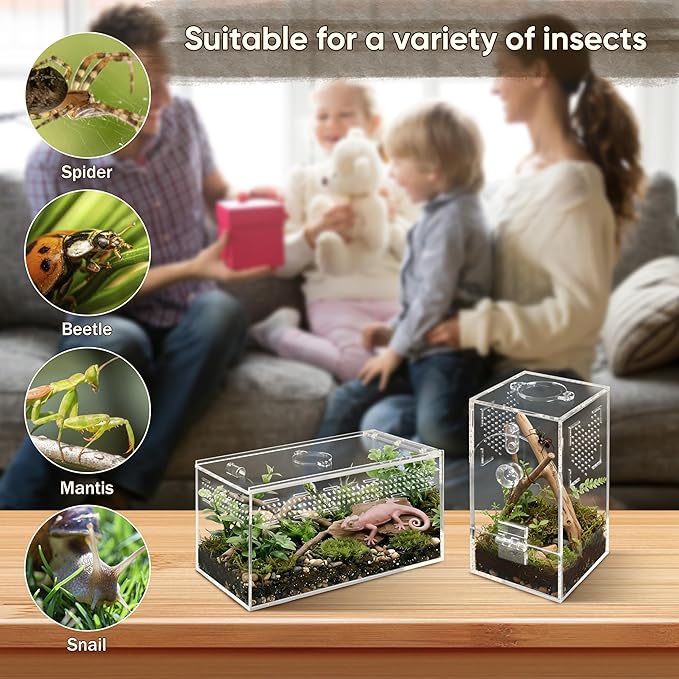 Jumping Spider Enclosure Set, Terrestrial Arboreal Combo, Acrylic Tarantula Terrarium, Praying Mantis Habitat, No Assembly, 2-Size Kit, Medium