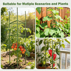 6 Pack Tomato Cage for Garden Plant Supports, Up to 53 Inch Tomato Trellis for Potted Plants, Heavy-Duty Garden Plant Stakes for Climbing Vegetables Plants Cucumber Peony Flowers, Green