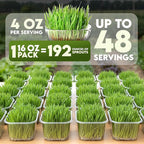 Nature Jims Sprouts Wheat Grass Seeds – Non-GMO Organic Seeds for Planting, Cat Grass for Growing & Sprouting – Resealable Bag for Fresh Wheatgrass Sprouts – Vitamins, Minerals, & Fiber-Rich –16oz