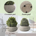 2 Pack Small Fake Plants in Cement Planter for Bathroom Decor, 6.1/5.7 Inch Artificial Plants Indoor, Small Faux Plants Indoor for Home Room Bedroom Farmhouse Kitchen Office Decor