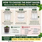 FUIJOL 6 Pack Clear Plant Saucer, Durable Plant Drip Trays Saucers for Pots, No Holes Water Catcher Trays for Indoor Outdoor Planter, Sturdy Base Plate (Clear, 3"-6Pack)