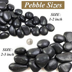 FANTIAN 40 lbs Black River Rocks for Outdoor Landscaping, 1-2 Inch Decorative Black Pebbles Stones for Planter, Garden Rocks, Vase, Home Décor, Plant Rocks, Paving Stones and Fountain