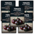 Black Cherry Tomato Seeds for Planting – Indeterminate Heirloom Non-GMO Variety – Grow High Yields of Deep Purple-Black Cherry Tomatoes with Sweet Rich Flavor – Survival Garden Seeds (5 Packs)