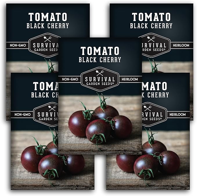 Black Cherry Tomato Seeds for Planting – Indeterminate Heirloom Non-GMO Variety – Grow High Yields of Deep Purple-Black Cherry Tomatoes with Sweet Rich Flavor – Survival Garden Seeds (5 Packs)