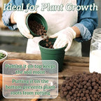 RAINFLOW Leca Clay Pebbles for Plants - 5mm-10mm Clay Balls for Plants Pebbles for Indoor Plant Hydroponic Growing Gardening Orchids Drainage Decoration Aquaponics Growing Terrarium 250g