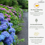 GARDENWISE Slow Release Hydrangea Fertilizer with Iron & Sulfur – Indoor & Outdoor Soil Acidifier for Miracle Growth (3 qt)
