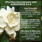 GARDENWISE 8-4-8 Acidic Fertilizer for Azaleas, Camellias (Camelia), Hydrangeas, Blueberries, Gardenias, Magnolia Trees, Evergreens, and Rhododendrons - Ideal Iron-Rich Plant Food (2 QUARTS)