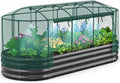 Quictent Galvanized Raised Garden Bed Kit with Self Watering System and Mesh Cover, Large Oval Metal Outdoor Planter Garden Boxes for Vegetables Herbs Flowers, 8x3x1Ft