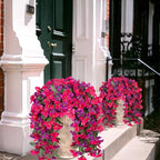 2 pcs Artificial Faux Bougainvillea Flowers Plants for Outdoor Outside Summer Decoration, Fake Silk UV Resistant Long Trailing Vines for Front Door Porch Planter Balcony (Rose Deep Lotus)