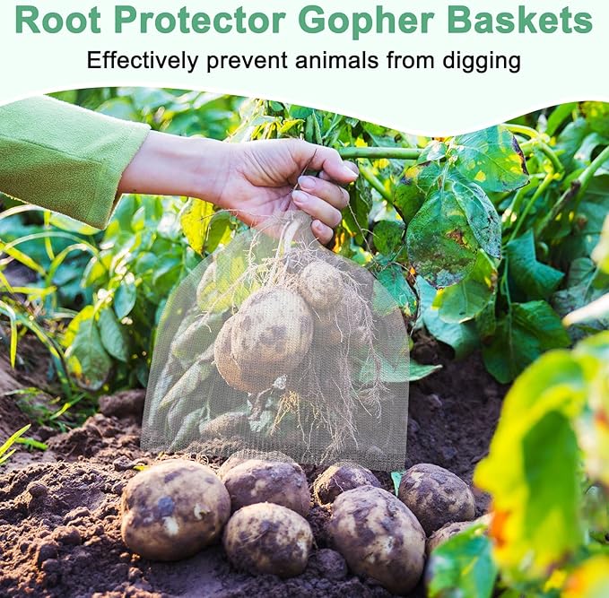 M METERXITY 4-Pack 3 Gallon Plant Root Protector 14x14 Inch, Stainless Stainless Root Guard Baskets Wire Mesh Garden Protection Netting for Tree/Tubers/Crops/Flower/Vegetables/Fruit