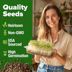 HOME GROWN Alfalfa Sprout Seeds 8 oz Bulk Heirloom Non-GMO, USA Sourced, High Germination, Fast Growing Microgreens, Nutrient Dense Sprouting Seeds for Sandwiches & Salads, Indoor Garden