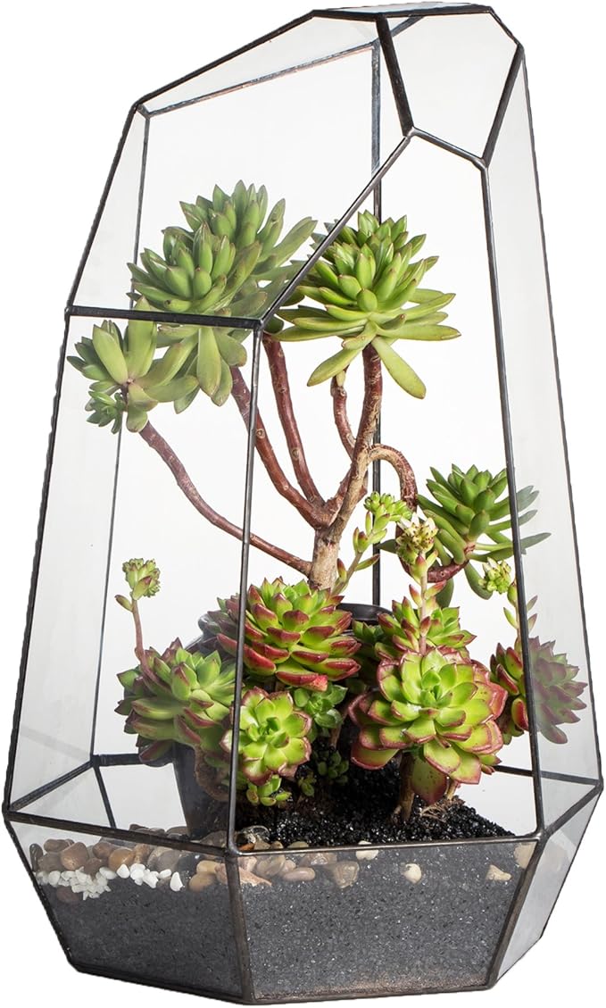 NCYP No Door Large Geometric Terrarium - 16 Inches Irregular Open Glass Terrarium Pot for Tall Cacti, Tall Succulents - Home Garden Tabletop Decoration (NO Plants)