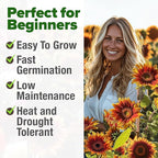 HOME GROWN Autumn Beauty Sunflower Seeds to Plant 40 Heirloom Non-GMO Sunflower Seeds for Planting Blooms for Pollinator Support, and Ornamental Flower Garden (Helianthus annuus)