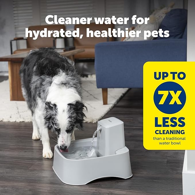 PetSafe Oasys 2 Gallon Pet Fountain for Dogs or Multiple Pets, Automatic Water Bowl Dispenser - Pump and Filter Included - Dishwasher Safe, Easy Clean Pet Dish - 2 Gallon/256 Oz