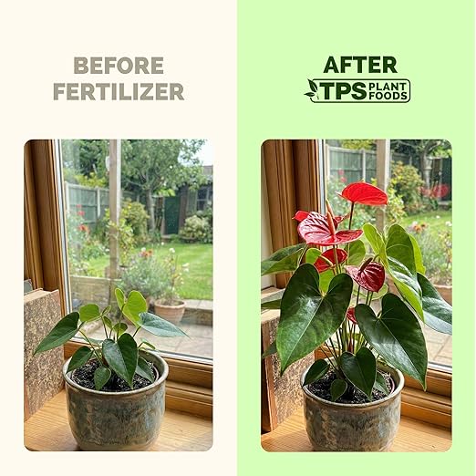 Tropical Plant Fertilizer – Liquid Plant Food for Bigger Leaves, Lush Growth & Stronger Roots, 32 oz