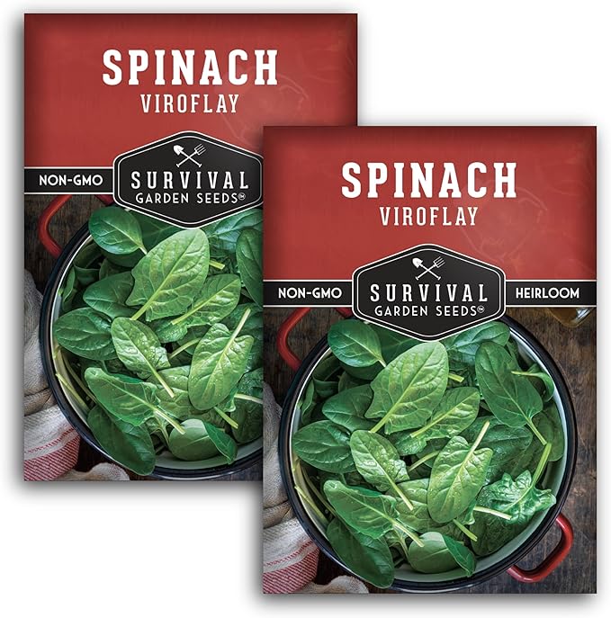 Viroflay Spinach Seeds for Planting – Giant Heirloom Variety with Tender Sweet 10" Leaves – Fast Growing Cold Tolerant Leafy Green – Survival Garden Seeds (2 Packs)