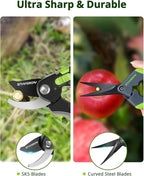 Gardening Scissors, Sharp Plant Trimming Scissors for Precise Cuts, Stainless Steel Pruning Shears Bonsai Clippers, 8.5" Bypass Garden Clippers and 6.5" Curved Garden Shears 2 Pack