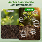 9QT Potting Soil Mix for Indoor Plants - Contains Perlite, Peat Moss, Coco Coir & Rice Charcoal, Natural & Organic Material with Well-Draining, Light & Aerated Texture for Healthy Roots & Fast Growth