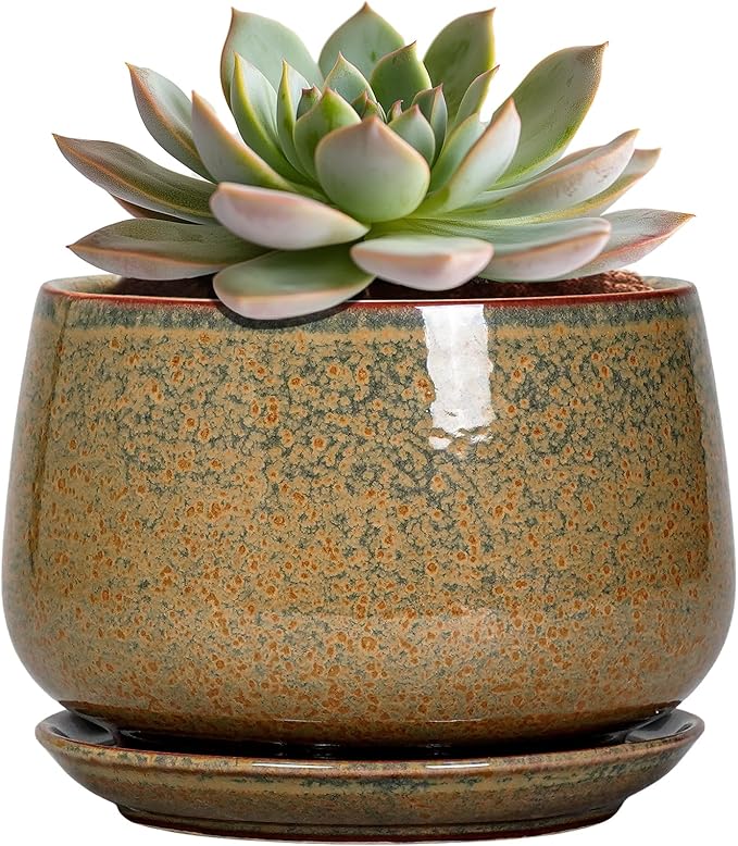 G EPGardening 6 Inch Plant Pot - Ceramic Succulent Pots with Drainage and Ceramic Tray, Round Planter for Indoor Outdoor Plants, Decorative Flower Pots, Home Decor, Gift for Women Men, Speckled Brown