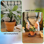 6 Pack 8 Inch Round Plant Saucers for Less 6.8 Inch Pot Indoors Outdoors Plant Trays for Pots Planter Saucer Plastic Plant Drip Tray Planter Water Tray for Potted Plants(Terracotta, 8"(6pcs))