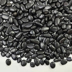FANTIAN 5 lbs Pebbles for Indoor Plants. 3/8 inch Small Black Stones, Decorative Black River Rocks for Plant Outdoor, Vase, Landscaping and Garden