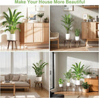 3-Pack Wood Plant Stands Indoor, Single Plant Stand for 6-12 Inch Pots, Mid-Century Modern Plant Stool, Tall Plant Stand for Large Plants Perfect Fit for Living Room, Balcony, Office