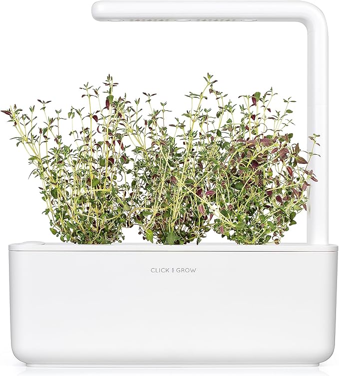 Click and Grow Smart Garden Thyme Plant Pods, 9-Pack