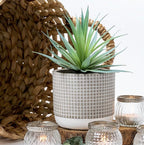Kurrajong Farmhouse 8" high Artificial Plant in Pot - Small Faux Plant for Desk, Bathroom, Kitchen, Shelf & Coffee Table - Realistic Indoor Plant for Home Decor