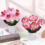 Artificial Orchid Flower Potted Plants Real Touch Small Fake Phalaenopsis Moth Decoration for Home Office Table Centerpiece Desk Shelf