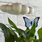 The Original Dripping Rain Cloud for Plants, Plant Watering Rain Cloud, Plant Lover Gifts, Plant Lady Gifts for Women, Plant Accessories (Cloud with Blue Butterfly)