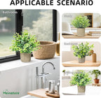 3 Pcs Fake Plant Set, Mini Artificial Potted Greenery, Small Faux Plants Decorative Accents for Home Office Desk Shelf Table Indoor Room Decoration