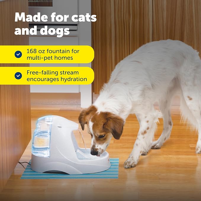 PetSafe Drinkwell Platinum Cat Water Fountain - Pet Fountain for All Pet Sizes, Encourages More Drinking, Includes Extra 3-Pack Replacement Carbon Filters, Indoor Use, Grey (168 oz/5L)