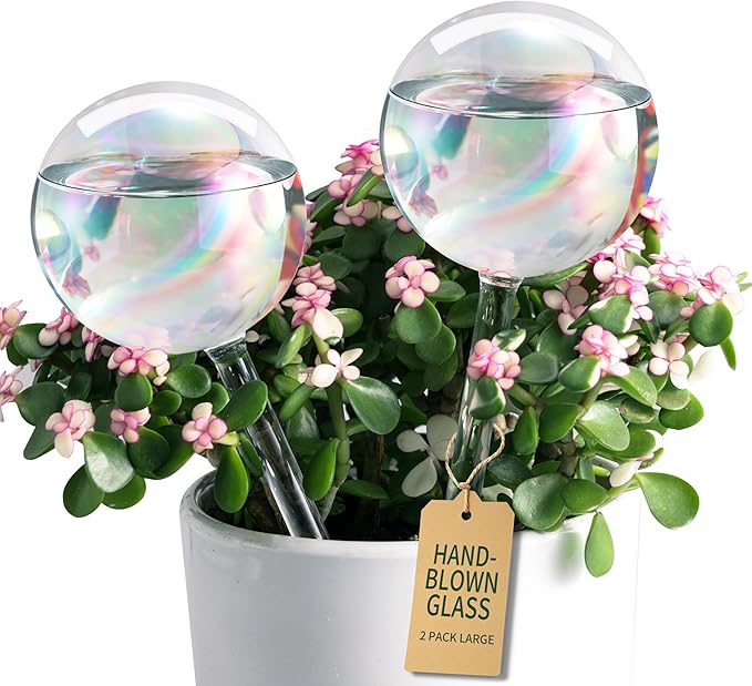 Soilagua Large Extra-Thick Clear Glass Plant Watering Globes, Rainbow Gradient Self Watering Devices for Indoor & Outdoor Plants, AutomaticWaterer Spikes, Perfect for Daily or Vacation Use, 2-Pack